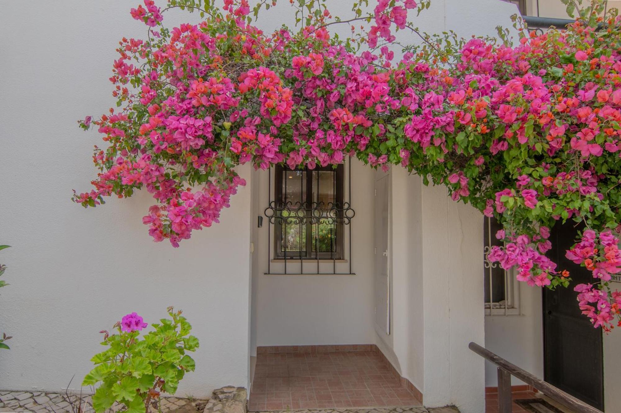 Coastal Retreat With Pool And Beach Access By Drago Rentals Albufeira Buitenkant foto